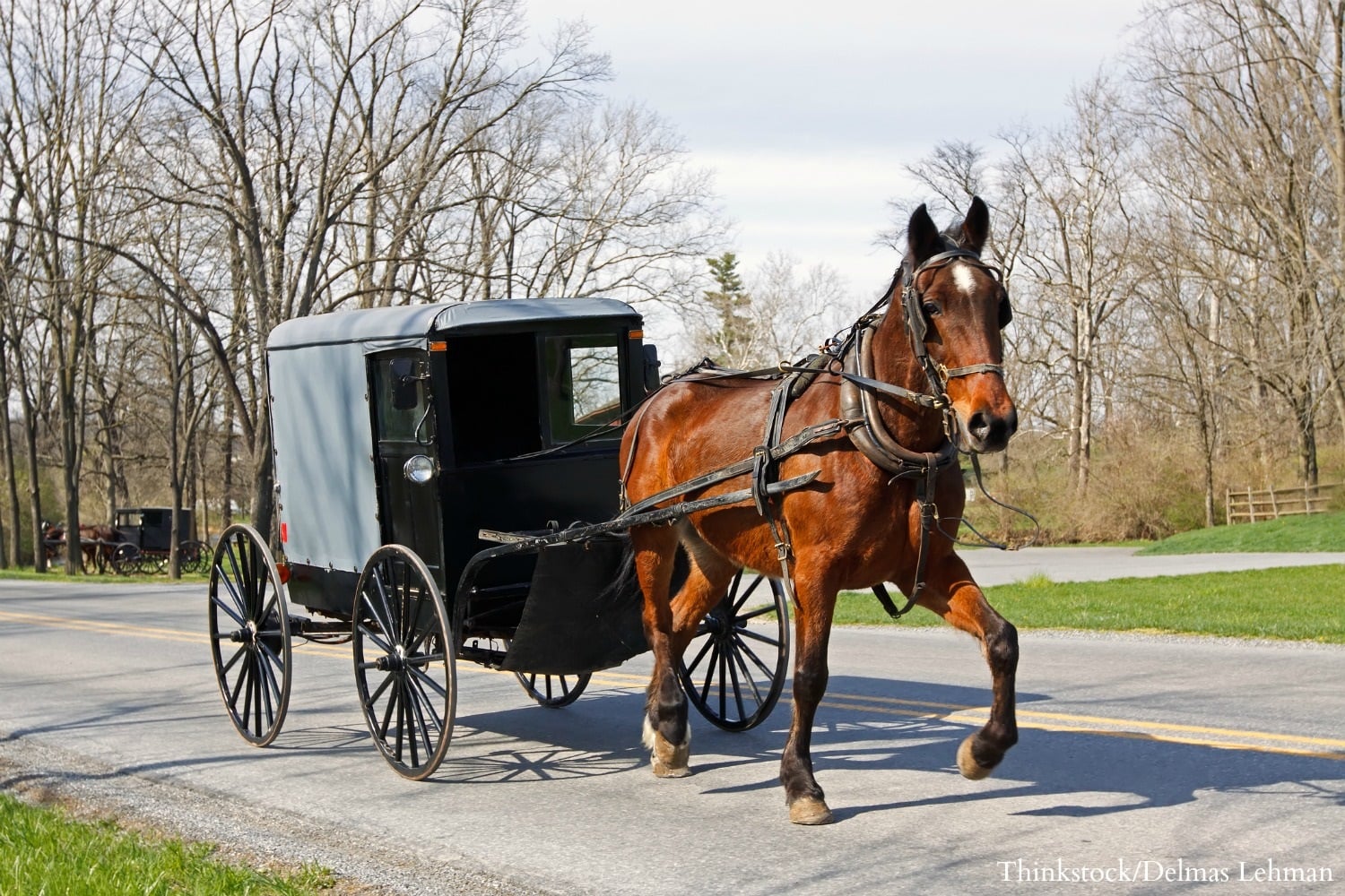 Amish Buggies Amish Pennsylvania Dutch Amish Country Amish Culture | My ...